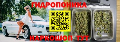 дживик Будённовск